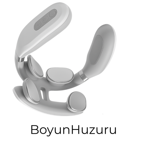 BoyunHuzuru